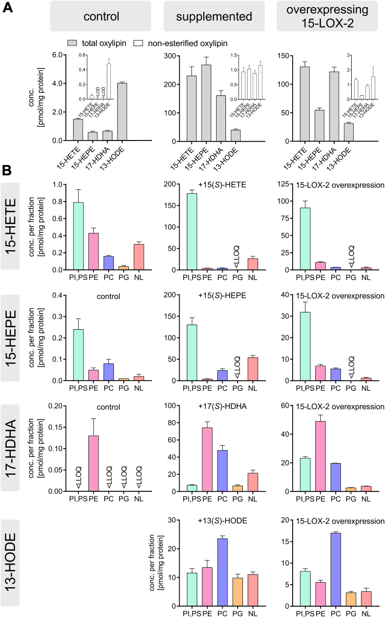 Substrate-dependent incorporation of 15-lipoxygenase products in glycerophospholipids: 15-HETE and 15-HEPE in PI, 17-HDHA in plasmalogen PE, and 13-HODE in PC.