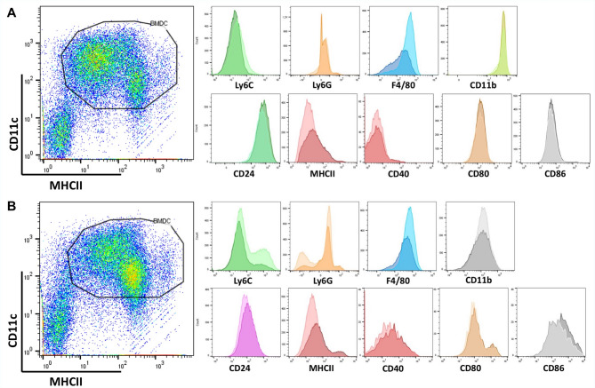 Differential effects of young and old hematopoietic stem cell niches on bone marrow-derived dendritic cells.