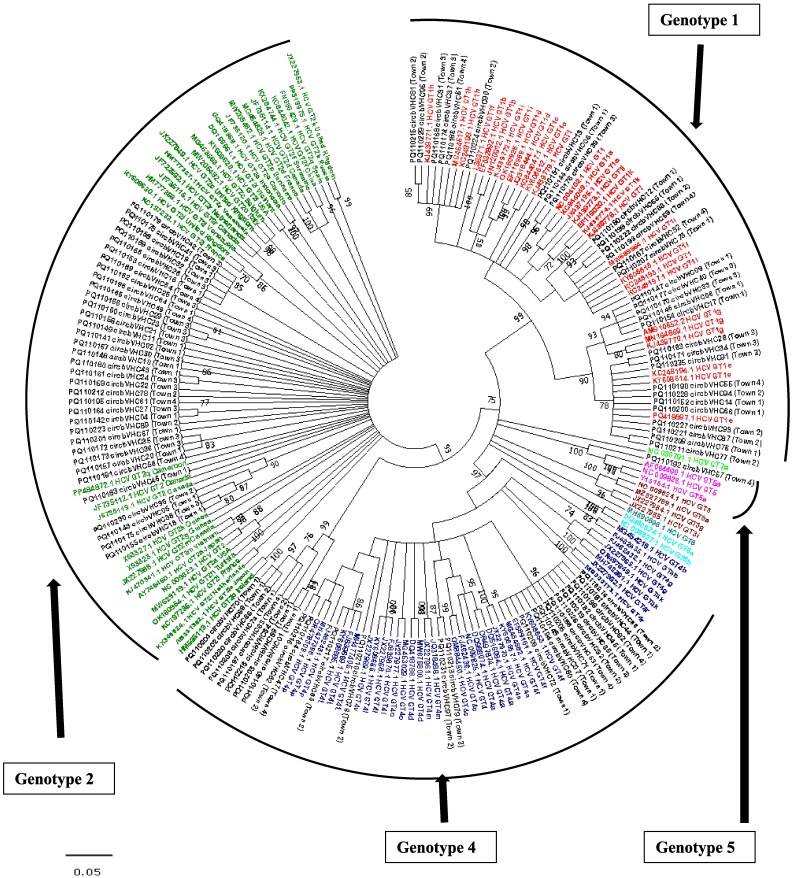 Highly genetically diverse variants of hepatitis C virus still predominate in Cameroon but with low frequency of mutations associated to resistance of NS5B polymerase-targeted antivirals.