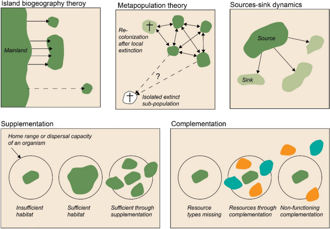 Green infrastructure has weak conceptual links with efficient biodiversity conservation