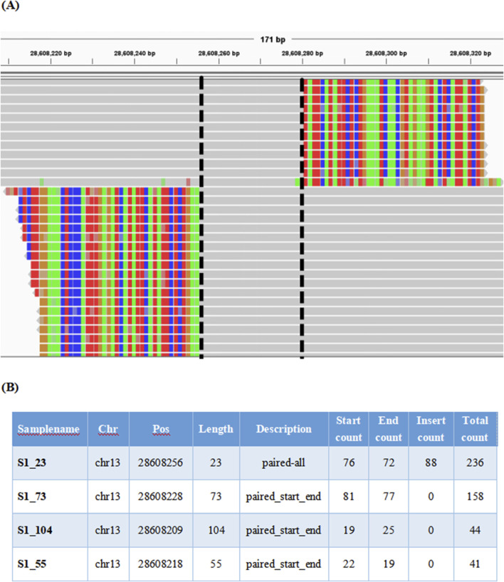 An innovative full-size pathogenic tandem duplication mutation precise detection system based on next-generation sequencing.