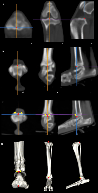 Abstract Image