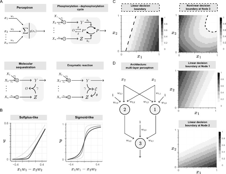 Pattern recognition in living cells through the lens of machine learning.