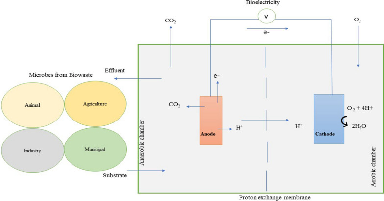New horizons in microbial fuel cell technology: applications, challenges, and prospects
