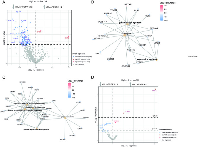 CHIT1 and DDAH1 levels relate to amyloid-related imaging abnormalities risk profile in Alzheimer's disease patients.