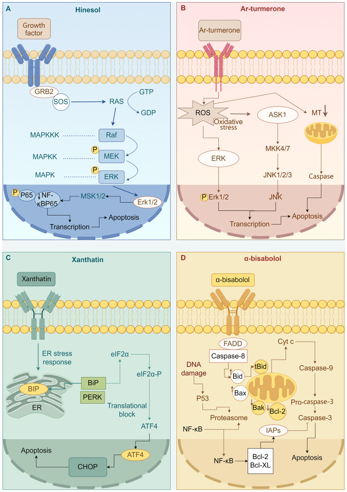 Advancements in the therapeutic potential of sesquiterpenoids for the treatment of hepatocellular carcinoma (Review).