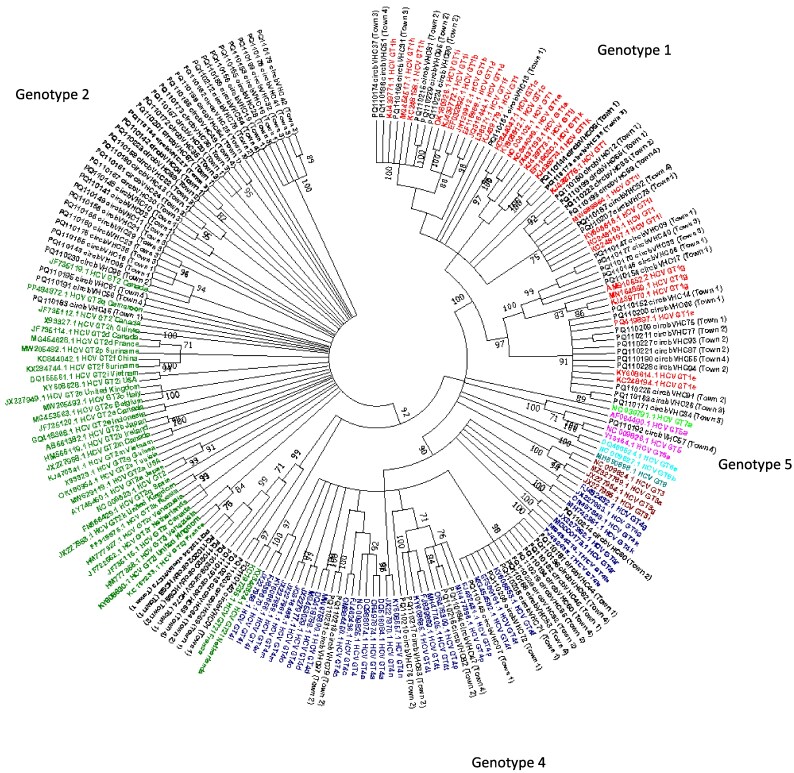 Highly genetically diverse variants of hepatitis C virus still predominate in Cameroon but with low frequency of mutations associated to resistance of NS5B polymerase-targeted antivirals.