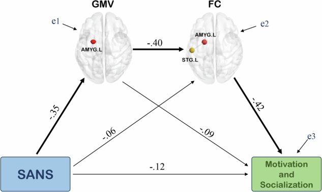 Left amygdala alterations mediate the effects of negative symptoms on social dysfunction in schizophrenia.