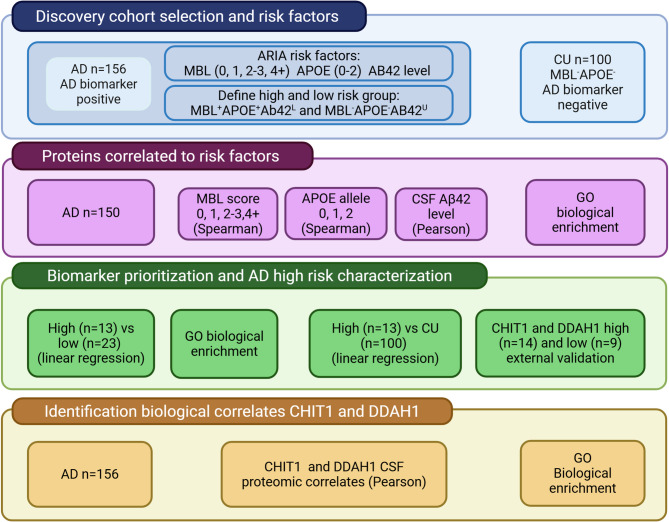 CHIT1 and DDAH1 levels relate to amyloid-related imaging abnormalities risk profile in Alzheimer's disease patients.