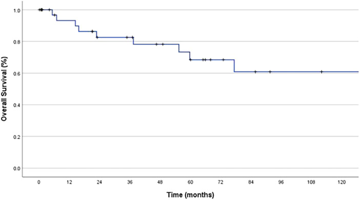 Carcinoma ex Pleomorphic Adenoma: Multi-Institutional Retrospective Cohort Study.