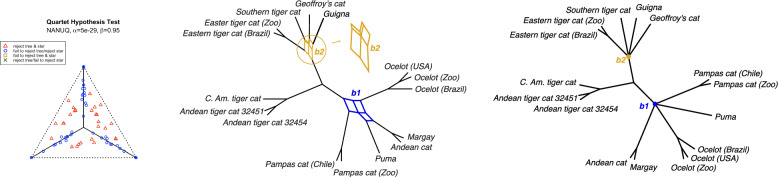 NANUQ<sup>+</sup>: A divide-and-conquer approach to network estimation.