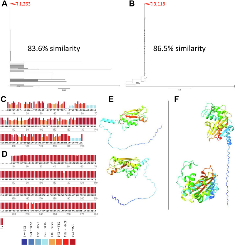 Intranasal delivery of mRNA expressing newly identified Acinetobacter baumannii antigens protects against bacterial lung disease.