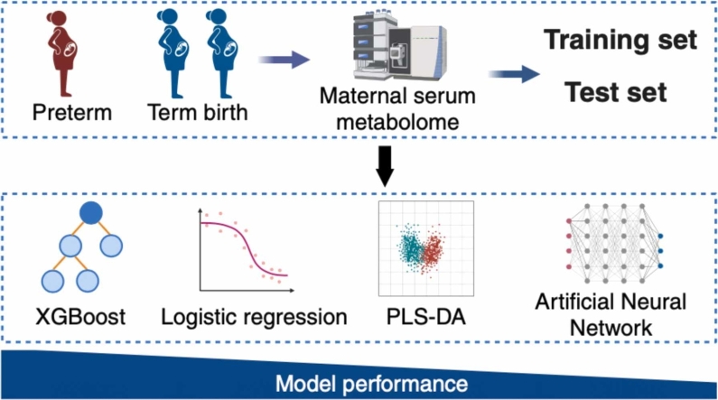 Comparative analysis of machine learning techniques in metabolomic-based preterm birth prediction.