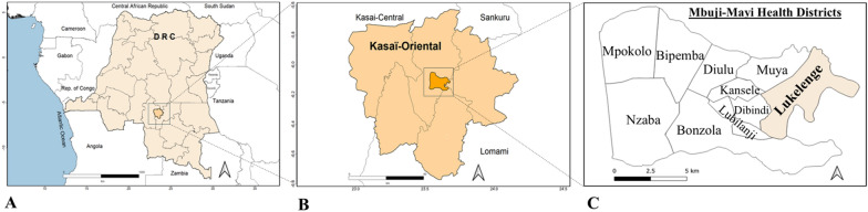 Intra-familial transmission of Hepatitis B virus in a peri-urban community from the Democratic Republic of the Congo.