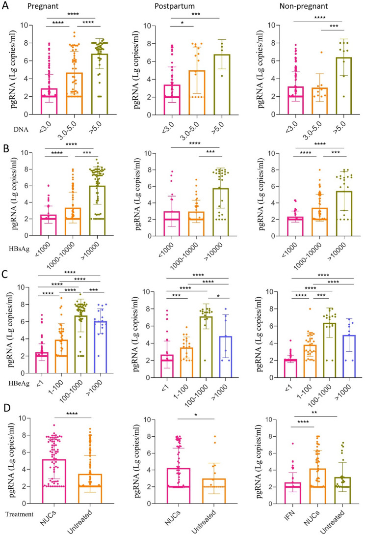 Profiles and kinetics of PgRNA and clinical characteristics in pregnant, postpartum, and non-pregnant women with chronic HBV infection.