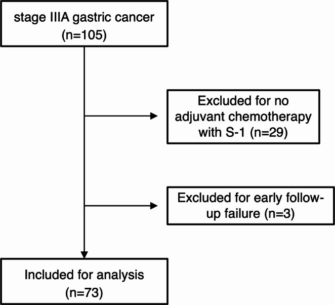 Long-term outcomes of S-1 monotherapy in stage IIIA gastric cancer with small tumors and low nodal involvement.