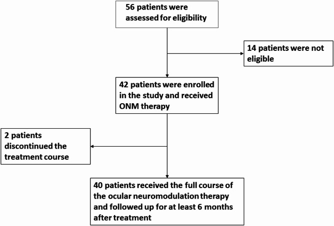 Ocular neuromodulation as a novel treatment for retinitis pigmentosa: identifying rod responders and predictors of visual improvement.