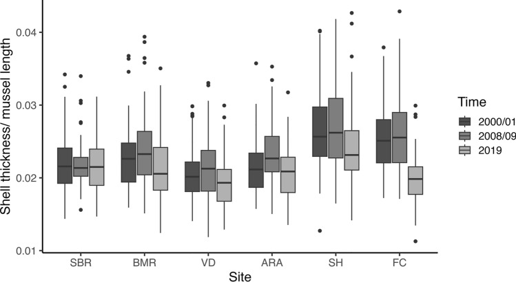 Biogeographic variation in mussel shell thickness and drilling predation on rocky shores.