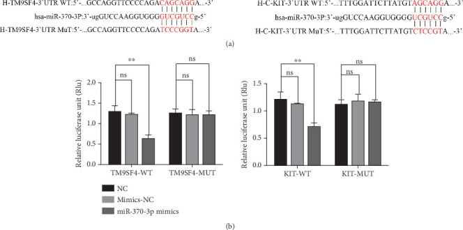 Yinchenhao Decoction Protects Against Intrahepatic Cholestasis During Pregnancy Through the miR-370-3p/TM9SF4/KIT Axis.