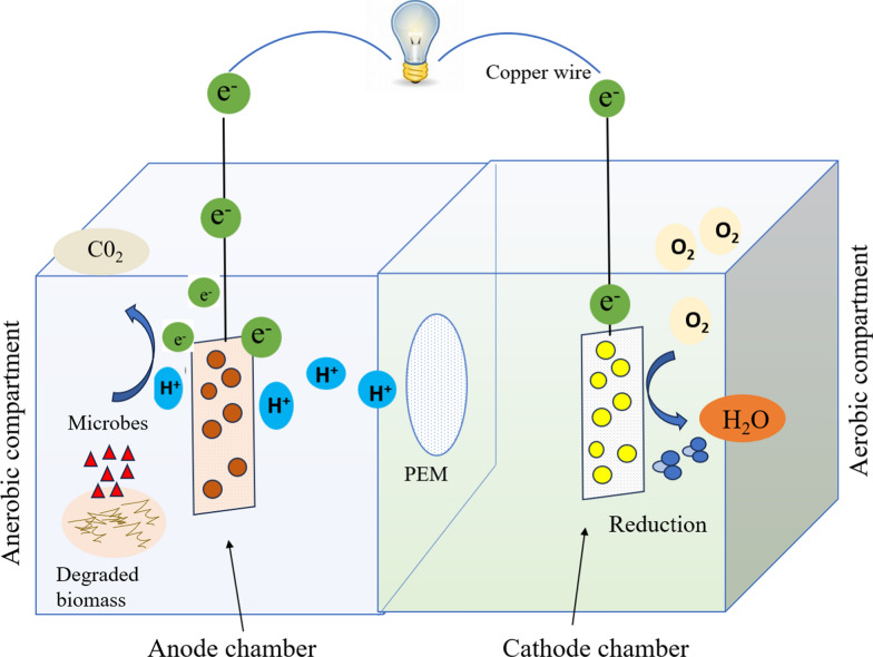 New horizons in microbial fuel cell technology: applications, challenges, and prospects
