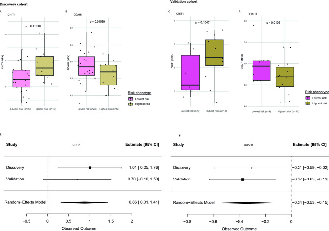 CHIT1 and DDAH1 levels relate to amyloid-related imaging abnormalities risk profile in Alzheimer's disease patients.