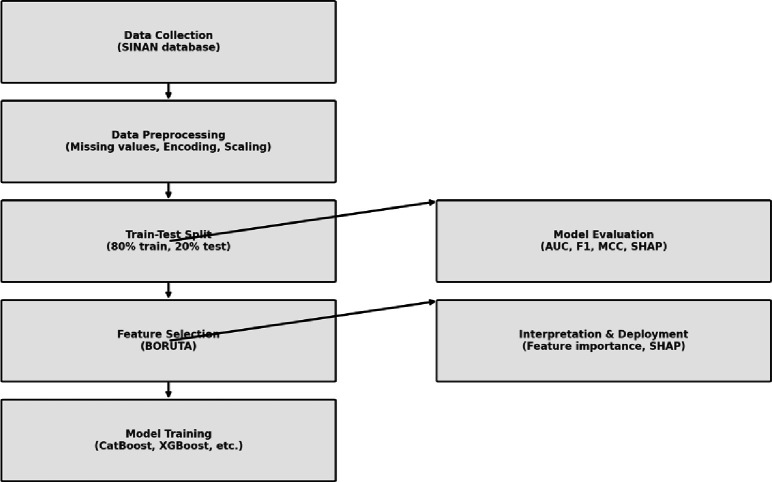 Improving meningitis surveillance and diagnosis with machine learning: Insights from São Paulo.
