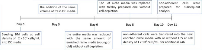 Differential effects of young and old hematopoietic stem cell niches on bone marrow-derived dendritic cells.