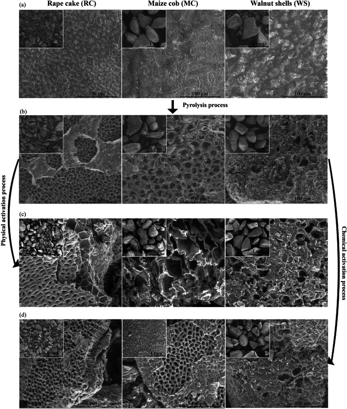 Valorisation of food industry waste into high-performance biochar for environmental applications.