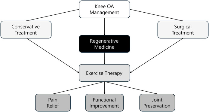 Effectiveness of combined regenerative medicine and exercise therapy for patients with knee osteoarthritis: a scoping review.