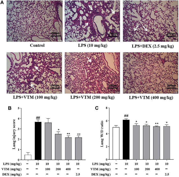 <i>Viola tianshanica</i> Maxim Extract Ameliorates Lipopolysaccharide Induced Acute Lung Injury by Regulating NLRP3 Inflammasome and Nrf2 Signaling Pathway.