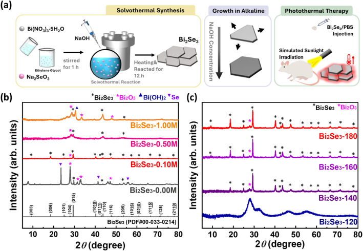 Enhanced photothermal therapy for tumor ablation: structural and functional insights into Bi<sub>2</sub>Se<sub>3</sub> nanosheets as Light-to-Heat converter.
