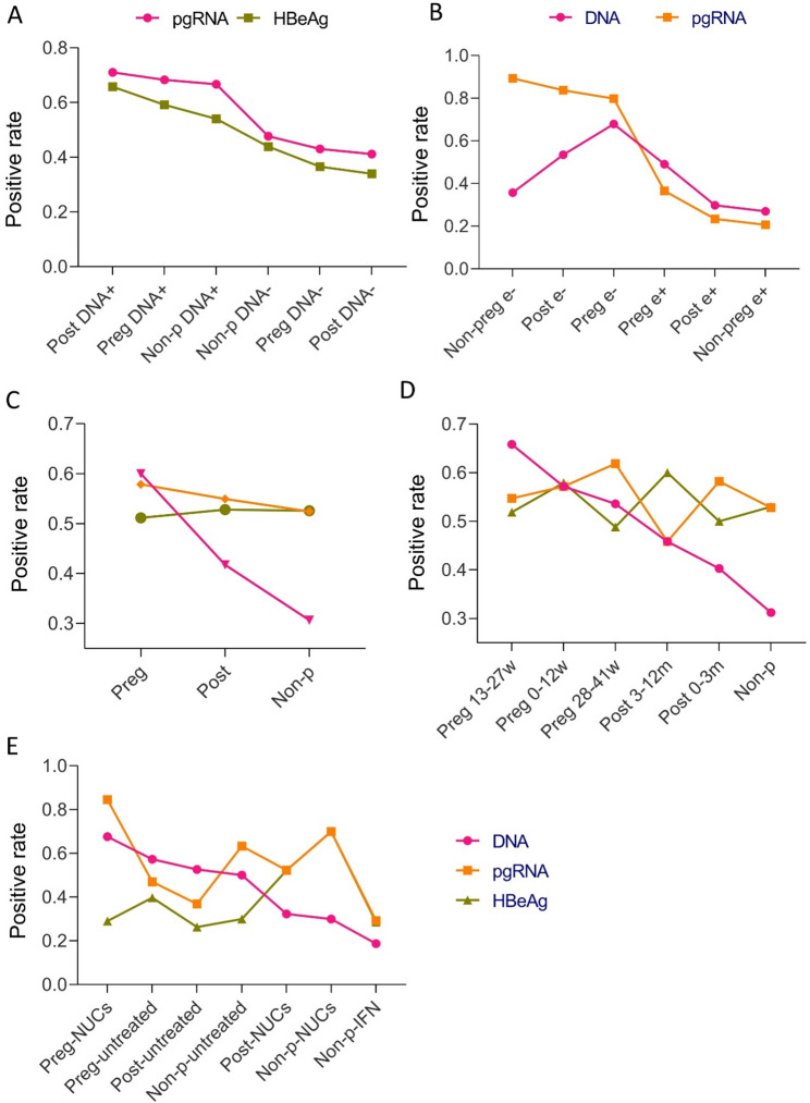 Profiles and kinetics of PgRNA and clinical characteristics in pregnant, postpartum, and non-pregnant women with chronic HBV infection.