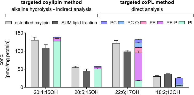 Substrate-dependent incorporation of 15-lipoxygenase products in glycerophospholipids: 15-HETE and 15-HEPE in PI, 17-HDHA in plasmalogen PE, and 13-HODE in PC.