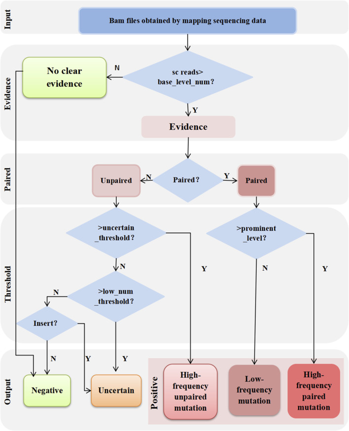 An innovative full-size pathogenic tandem duplication mutation precise detection system based on next-generation sequencing.