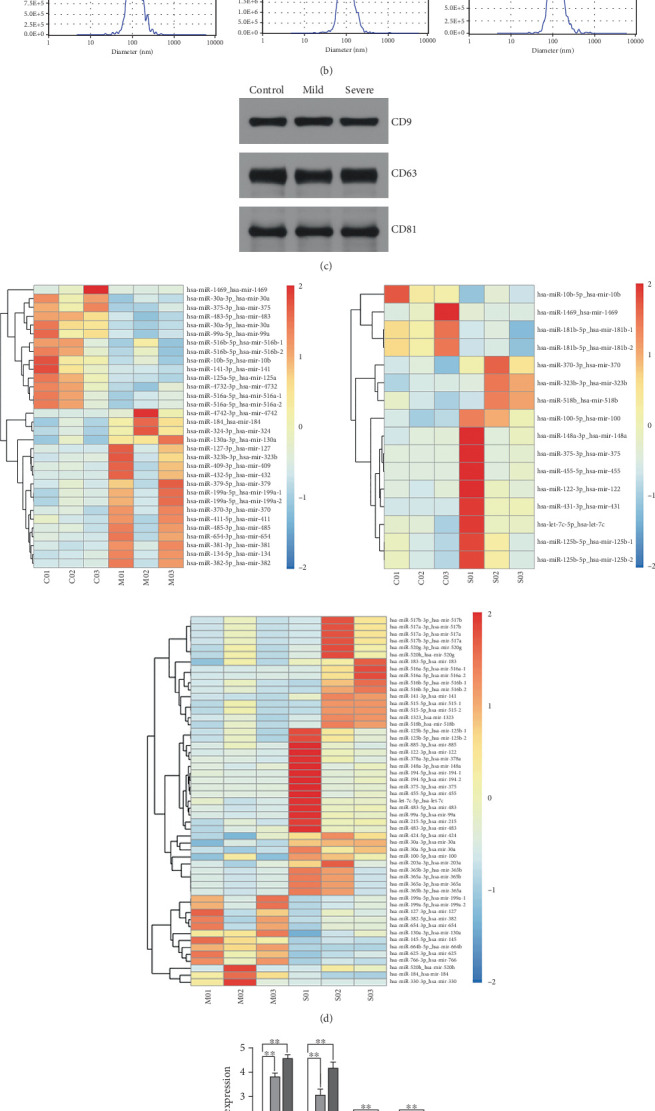 Yinchenhao Decoction Protects Against Intrahepatic Cholestasis During Pregnancy Through the miR-370-3p/TM9SF4/KIT Axis.