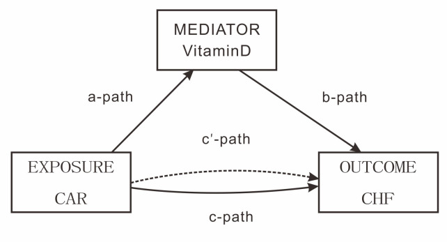Vitamin D as a Key Mediator Between C-reactive Protein to Albumin Ratio and Congestive Heart Failure in an Elderly Population: An Innovative Exploration Using the NHANES Database.
