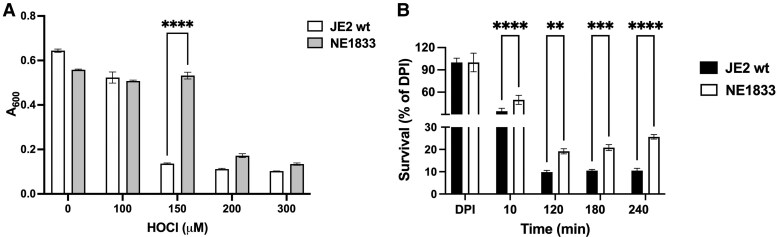 Mutation in Staphylococcus aureus that supports gain of function in susceptibility both to hypochlorous acid and to human neutrophils.