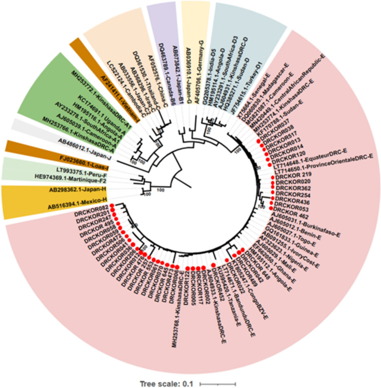 Intra-familial transmission of Hepatitis B virus in a peri-urban community from the Democratic Republic of the Congo.