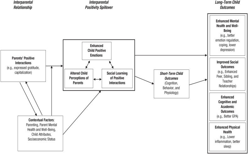 Interparental Positivity Spillover Theory: How Parents' Positive Relational Interactions Influence Children.