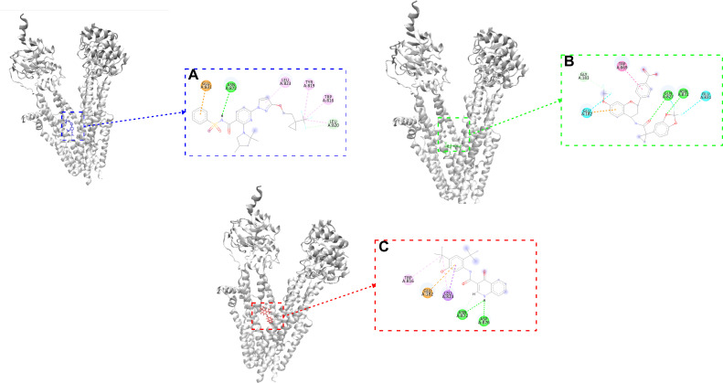 Understanding the action of bamocaftor as a potential drug candidate against Cystic Fibrosis Transmembrane Regulator protein: A computational approach.