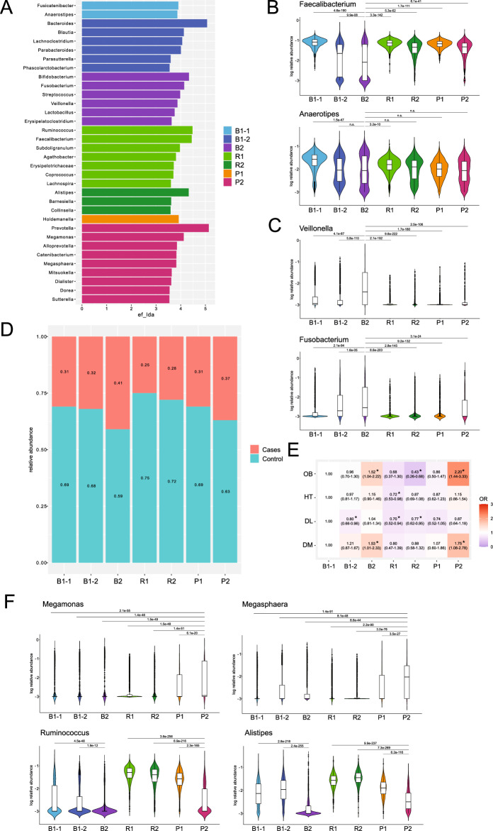 Bacteroides- and Prevotella-enriched gut microbial clusters associate with metabolic risks.