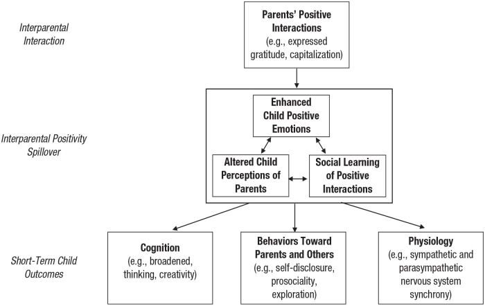 Interparental Positivity Spillover Theory: How Parents' Positive Relational Interactions Influence Children.
