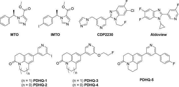 Development of a CYP11B2 imaging tracer for primary aldosteronism: basic evaluation of iodine- and fluorine-incorporated pyridinyldihydroquinolinone derivatives