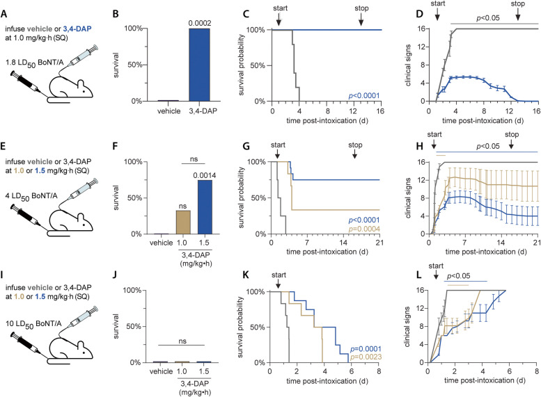 Combined treatment with antitoxin and 3,4-diaminopyridine improves survival outcomes after lethal botulinum neurotoxin challenge.