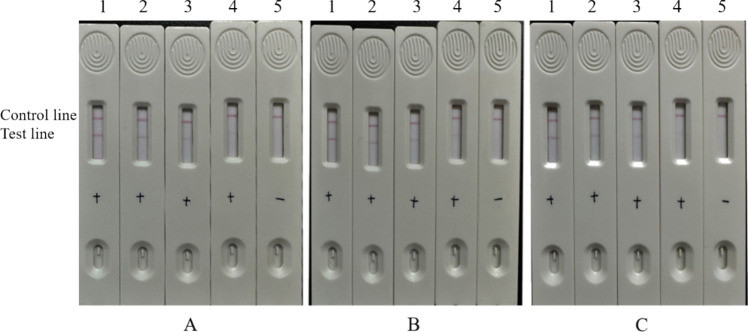 Establishment of a latex immunochromatography for detecting bovine early pregnancy-related glycoproteins.