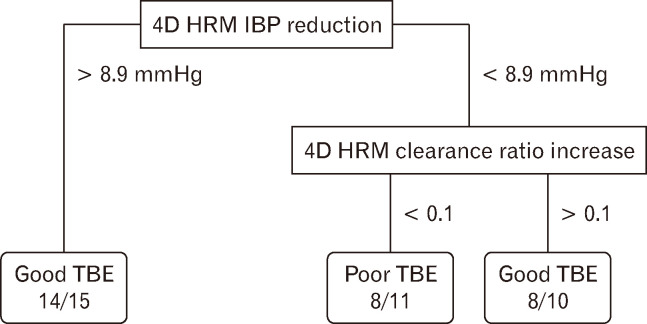 Assessing Treatment Outcomes in Achalasia Using 4-Dimensional High-resolution Impedance Manometry.