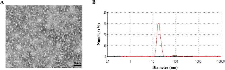 Ferritin-based nanoparticle vaccine protects neonatal piglets against porcine epidemic diarrhea virus challenge following immunization of pregnant sows.