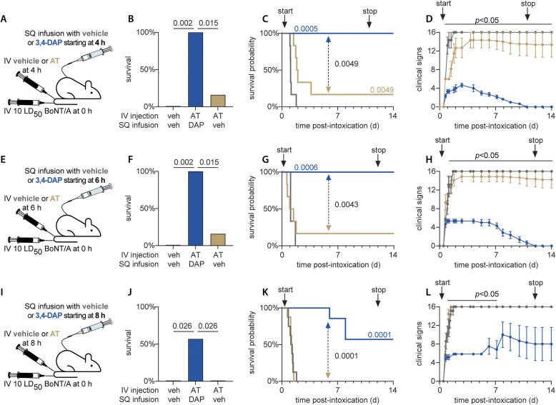 Combined treatment with antitoxin and 3,4-diaminopyridine improves survival outcomes after lethal botulinum neurotoxin challenge.