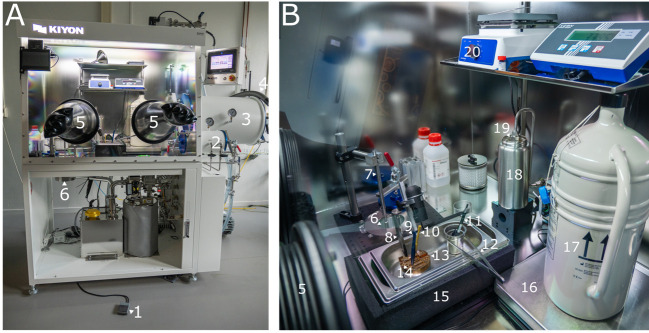 Workflow for Fluorescence-Targeted Lamella Milling From Vitrified Cells With a Coincident Fluorescence, Electron, and Ion Beam Microscope.