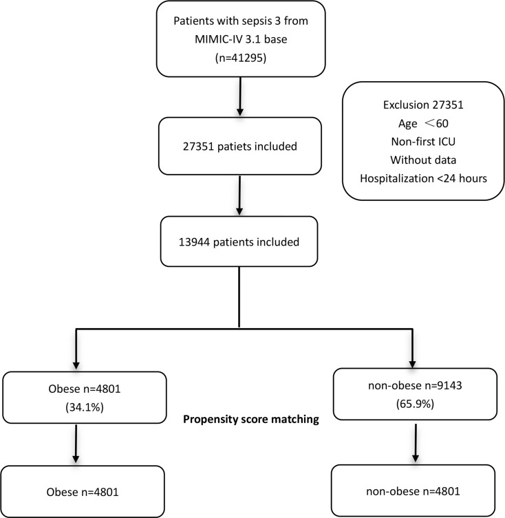 The impact of body mass index on clinical outcomes in elderly sepsis patients: a retrospective study based on the MIMIC IV database.